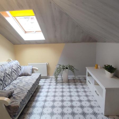 Сонячна Мансарда Apartment Kamianets Podilskyi Bagian luar foto