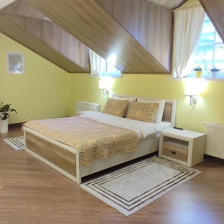Сонячна Мансарда Apartment Kamianets Podilskyi Bagian luar foto