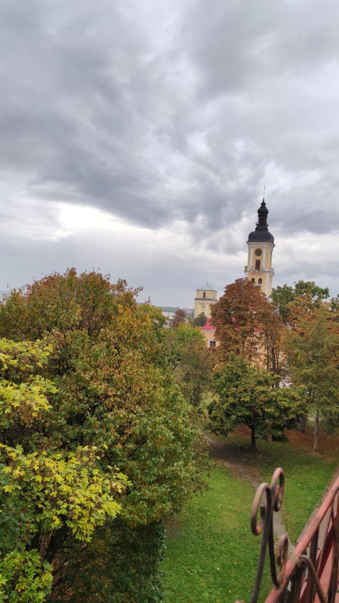 Сонячна Мансарда Apartment Kamianets Podilskyi Bagian luar foto